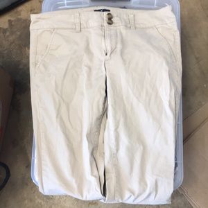 American eagle plants